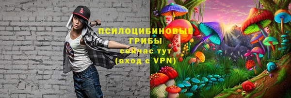 дурь Абаза