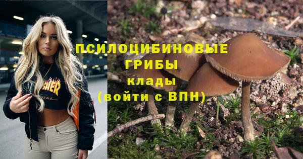 прущий лед Алзамай