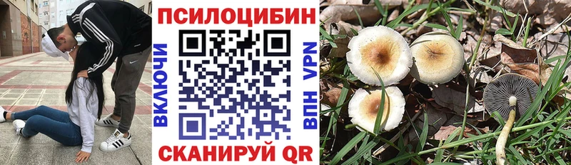 Псилоцибиновые грибы GOLDEN TEACHER купить даркнет формула Кедровый